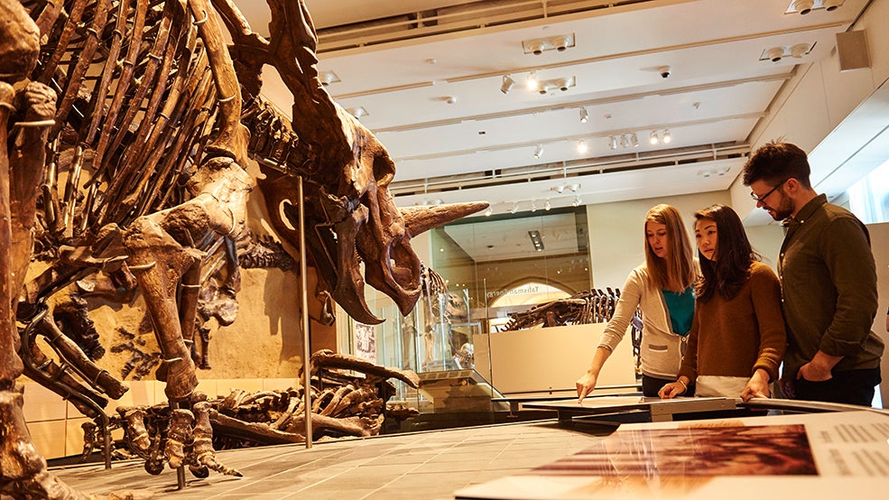 Canadian Museum of Nature