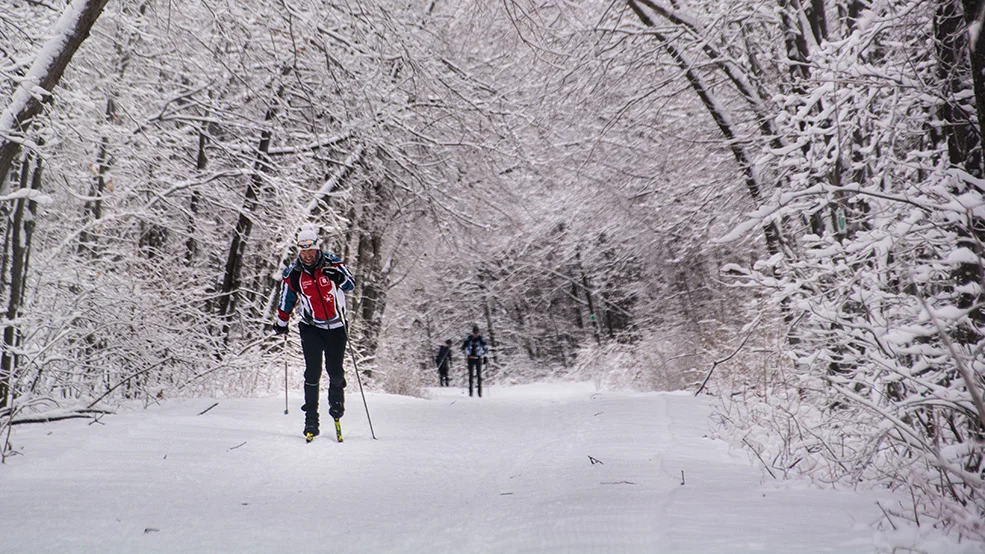 Gatineau Park, Winter, Cross-country skiing