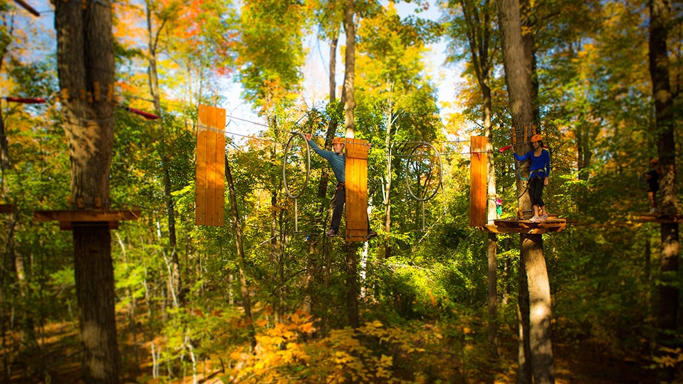 Camp Fortune Ski, Aerial Park and Ziplines