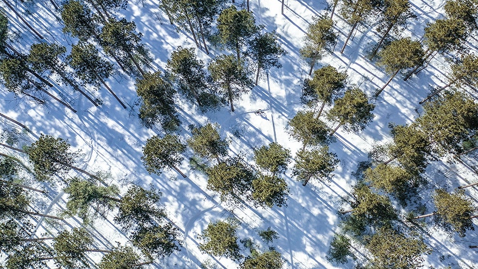 Winter biking, South March Highlands