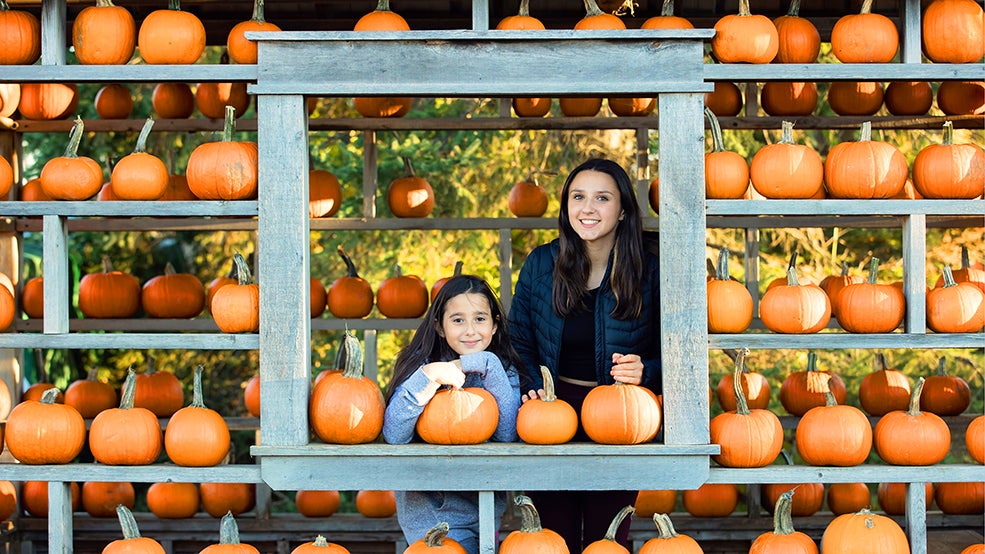 pumpkin, family, fall