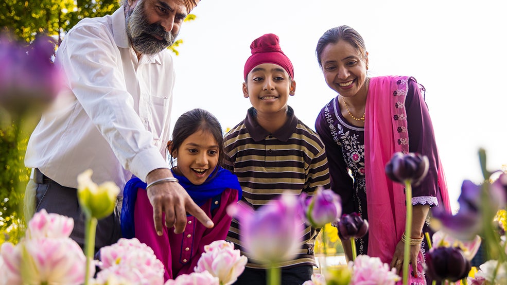 Canadian Tulip Festival
