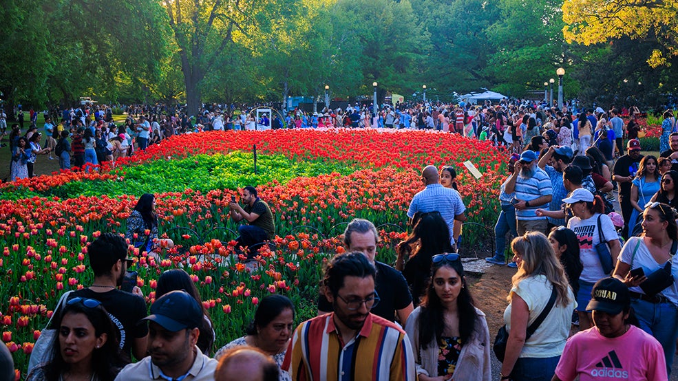 Canadian Tulip Festival at Commissioners Park