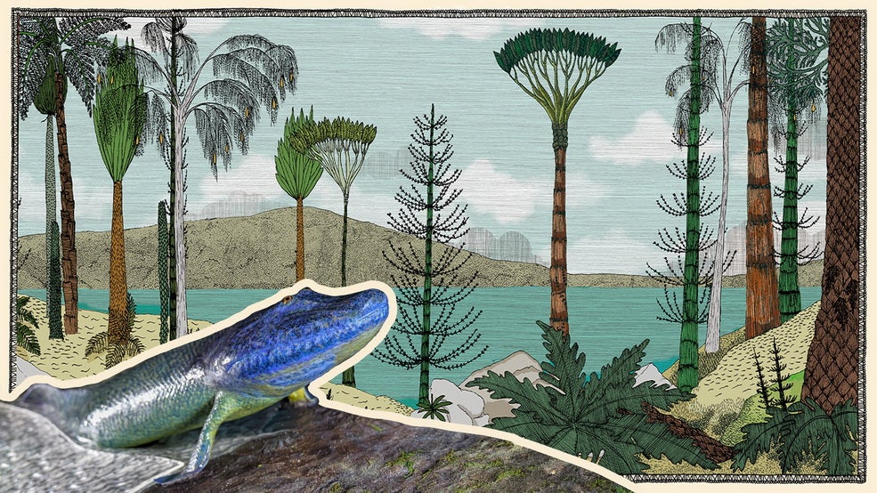 Life onto Land: The Devonian