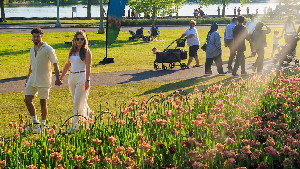 Canadian Tulip Festival at Commissioners Park