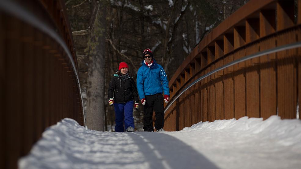 Gatineau Park, Winter