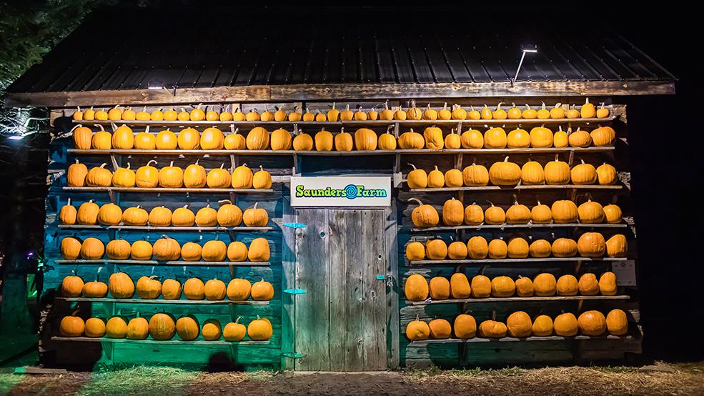 Saunders Farm's FrightFest