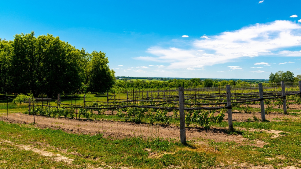 Ottawa Wine and Cider Tour.