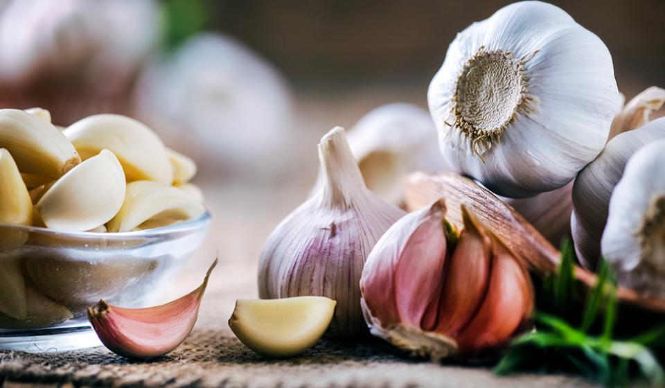 Garlic