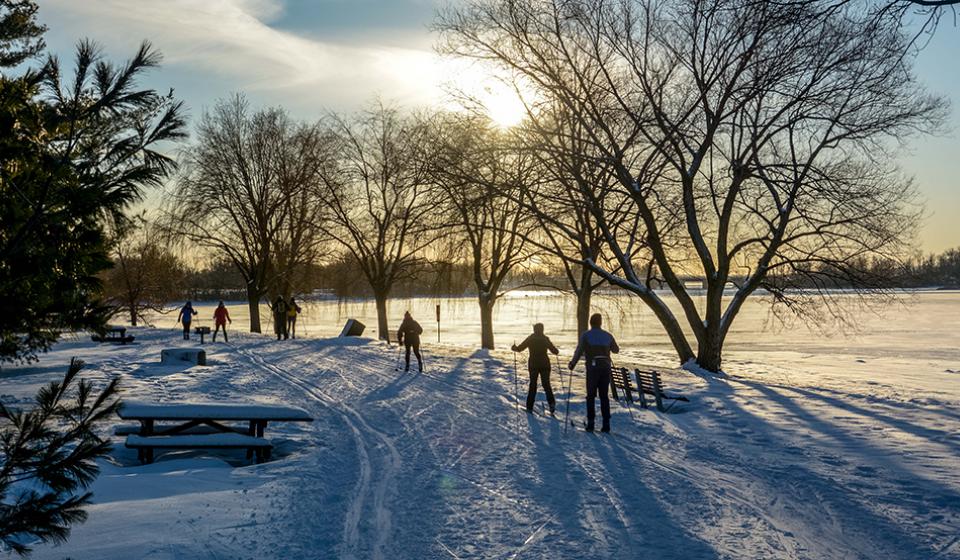 SJAM Winter Trail, Winter, Cross-country skiing