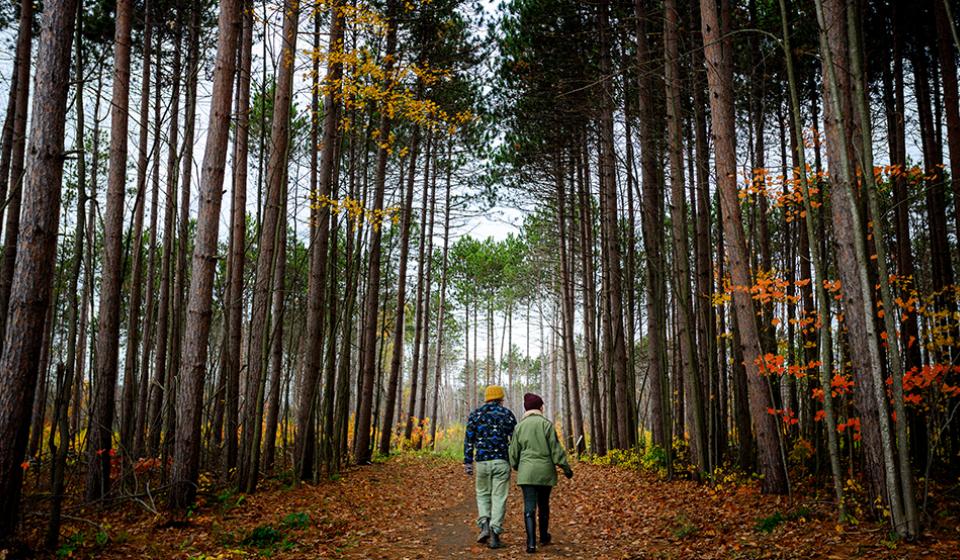 Pine Grove Trail, Greenbelt