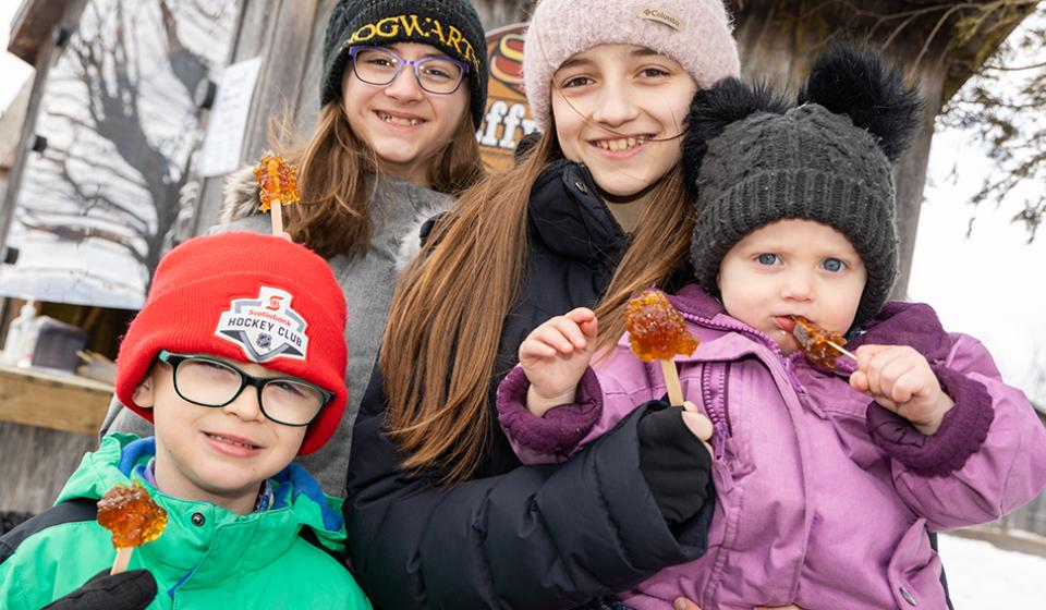 Stanleys Olde Maple Lane Farm Sugarbush