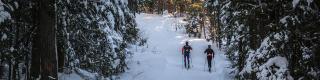 Gatineau Park, Winter, Cross-country skiing	